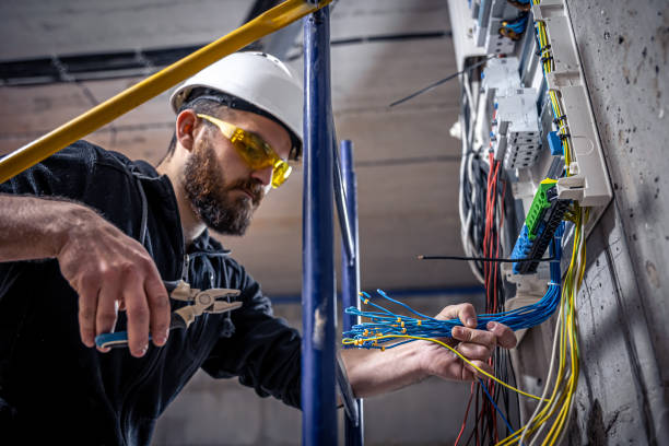 Best Home Electrical Repair  in Genoa, IL