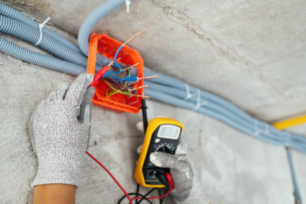 Best Electrician for Home Renovation  in Genoa, IL